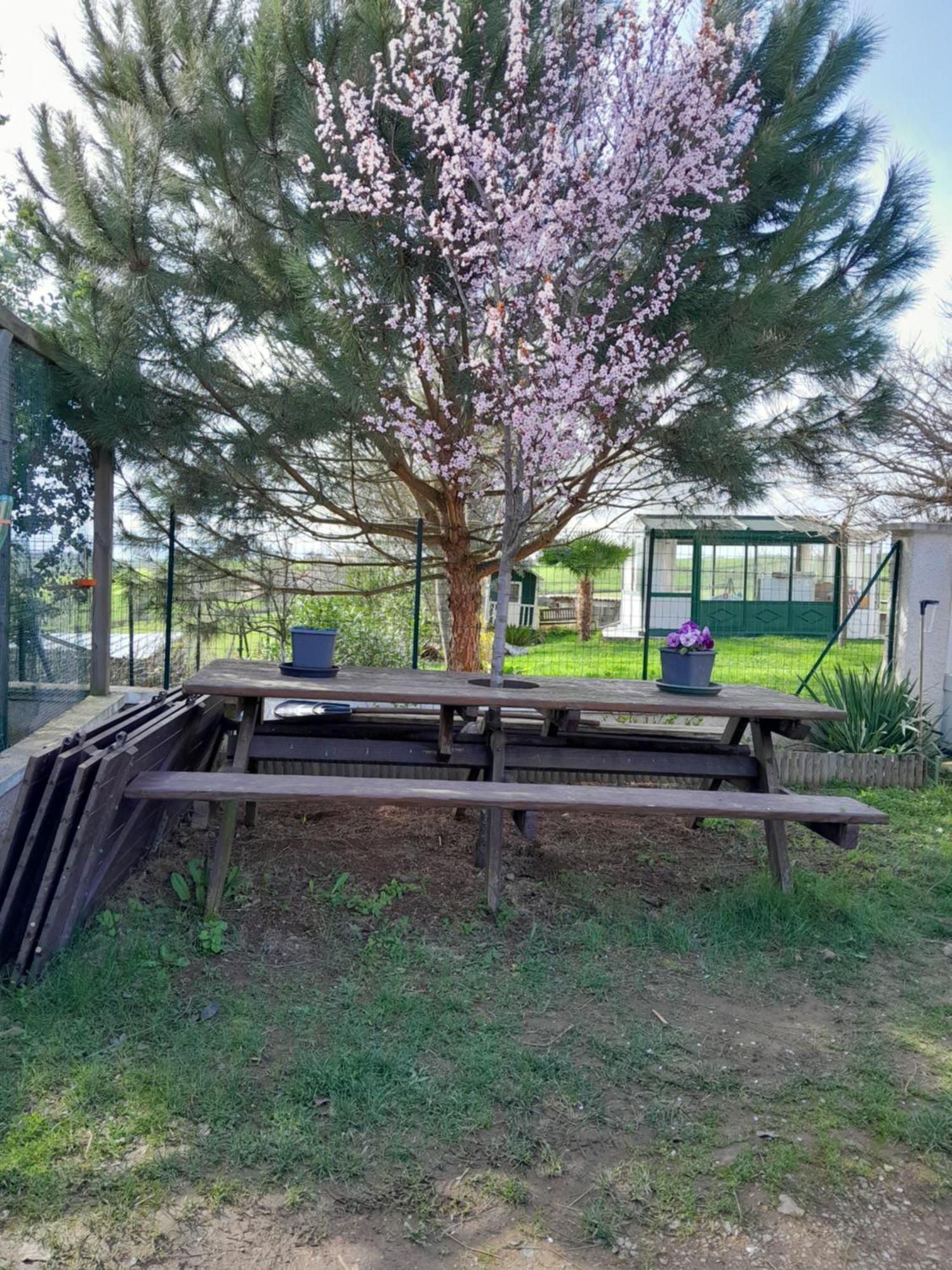 Chambres D Hotes Au P'Tit Bonheur Campagnard Jarnosse Bagian luar foto
